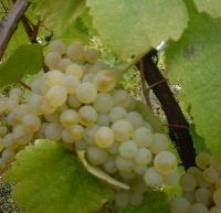 jura-bugey-savoie-023.JPG