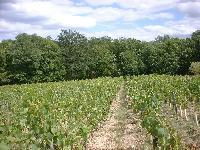 loire-023.JPG
