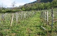 jura-bugey-savoie-066.JPG