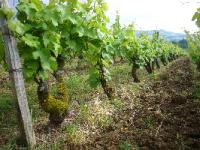 M. GAHIER jura-bugey-savoie-167.JPG