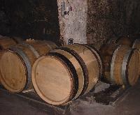 DOMAINE LEMAIRE-FOURNIER loire-017.JPG