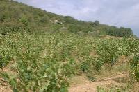 provence-corse-10.JPG