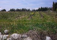 DOMAINE GRAMENON rhône-59.JPG