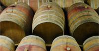 Des vins sincères tonneaux.jpg