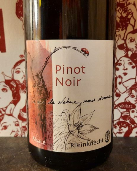 Pinot noir 2021 Kleinknecht