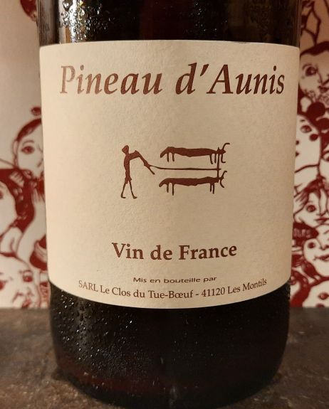 Pineau d'aunis 2022 Tue boeuf