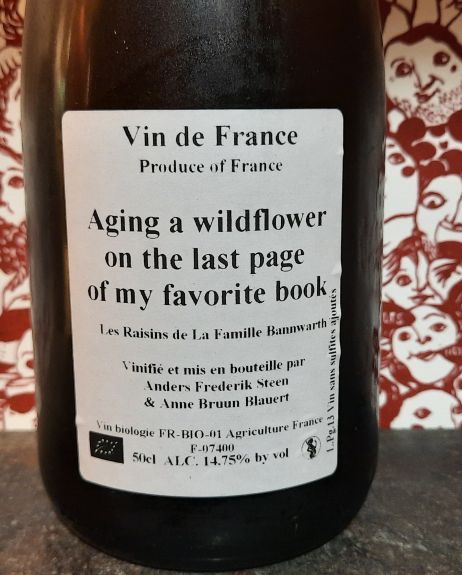 Aging a wildflower on the last page of my favorite book 2013 Steen